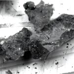 Les minéraux inattendus dans un grain Ryugu remettent en question le paradigme de la nature des astéroïdes primitifs