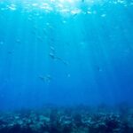 Les nations ont demandé à faire du sommet des Nations Unies un «tournant» pour les océans Les nations ont demandé à faire du sommet des Nations Unies un «tournant» pour les océans