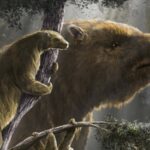 Sloths repeatedly evolved large and small body sizes