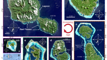 Les rivières de l'île sculptent les passages à travers les récifs coralliens, maintenant la santé des écosystèmes sur des millions d'années