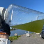 Les scientifiques identifient les cyanobactéries derrière les toxines dans l'estuaire de la rivière Saint-Louis Les scientifiques identifient les cyanobactéries derrière les toxines dans l'estuaire de la rivière Saint-Louis