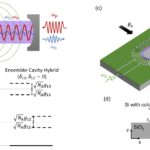 Les scientifiques proposent un plan pour le «traducteur universel» dans les réseaux quantiques