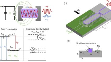 Les scientifiques proposent un plan pour le «traducteur universel» dans les réseaux quantiques