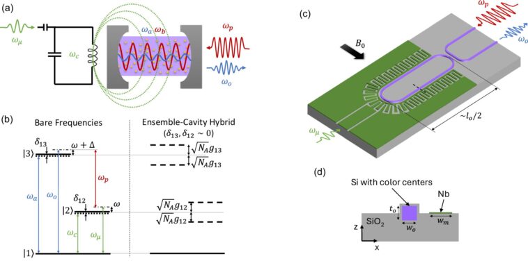 Les scientifiques proposent un plan pour le «traducteur universel» dans les réseaux quantiques Les scientifiques proposent un plan pour le «traducteur universel» dans les réseaux quantiques