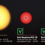 Les systèmes exoplanétaires sont divers. Les experts soutiennent que la recherche de vie devrait être la même