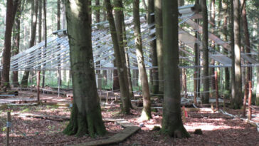 Une structure de cadre métallique ressemblant au contour d'une maison sans murs d'un toit complet construit parmi les arbres dans une forêt, avec des troncs d'arbres numérotés et des allées sur le sol de la forêt.
