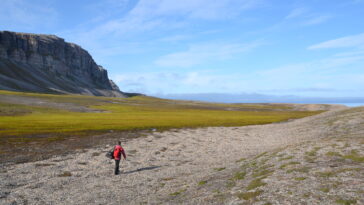 Les tourbières à travers l'Arctique se développent à mesure que le climat se réchauffe, montre la recherche