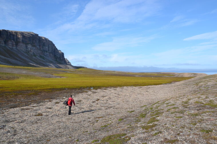 Les tourbières à travers l'Arctique se développent à mesure que le climat se réchauffe, montre la recherche Les tourbières à travers l'Arctique se développent à mesure que le climat se réchauffe, montre la recherche