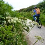 Les voix publiques révèlent des complexités dans la vente de gagnants en santé et en environnement