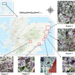 Modèle d'IA développé pour débloquer le potentiel de l'imagerie satellite pour la cartographie de la couverture terrestre Modèle d'IA développé pour débloquer le potentiel de l'imagerie satellite pour la cartographie de la couverture terrestre