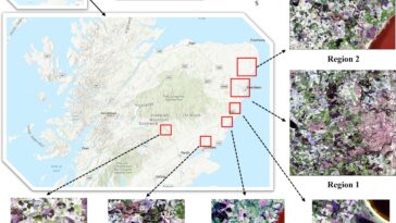 Modèle d'IA développé pour débloquer le potentiel de l'imagerie satellite pour la cartographie de la couverture terrestre