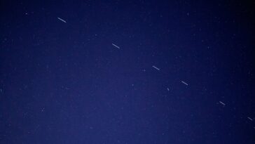 Musk's StarLink obtient une licence clé pour lancer des services Internet satellite en Inde