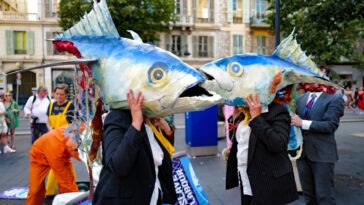 Nations Advance Ocean Protection, Vow pour défendre les fonds marins