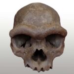 Nous savons enfin à quoi ressemblait le visage d'un Denisovan