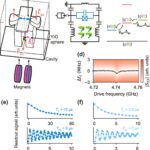 Ordinateurs quantiques améliorés et au-delà: explorer les magnons avec des qubits supraconducteurs