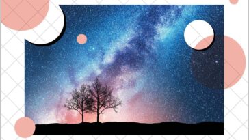 Trees against starry sky