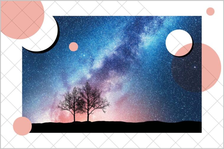 Pourquoi les constantes physiques de l'univers sont-elles si parfaites pour la vie? Trees against starry sky