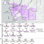 Q&R: La chaleur extrême et la fumée de feu de forêt se combinent pour poser des risques de santé accrus Q&R: La chaleur extrême et la fumée de feu de forêt se combinent pour poser des risques de santé accrus