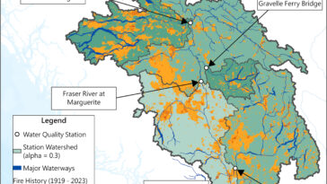 Q&R: Les incendies de forêt pourraient nuire aux océans et perturber leur stockage de carbone