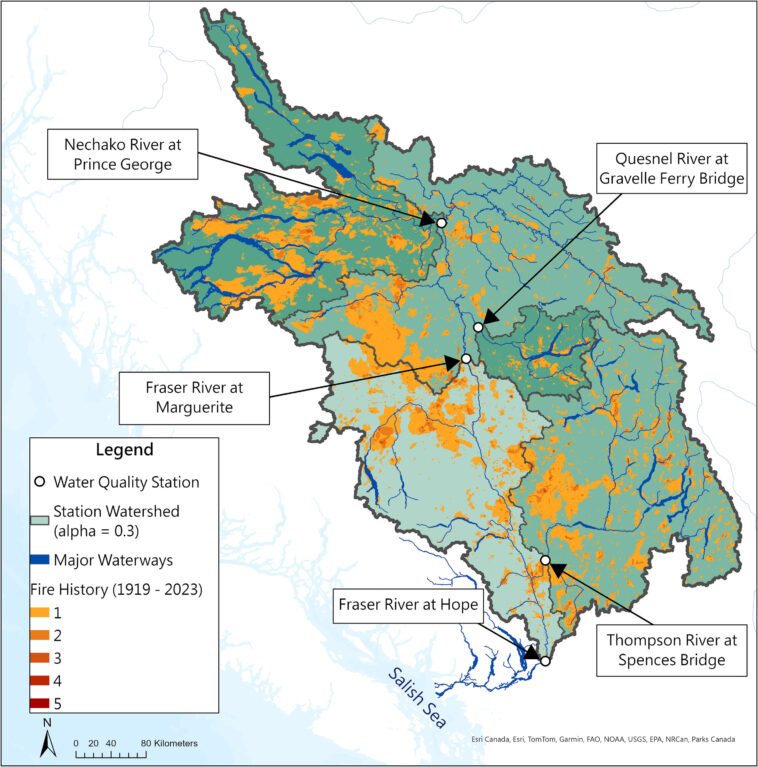 Q&R: Les incendies de forêt pourraient nuire aux océans et perturber leur stockage de carbone