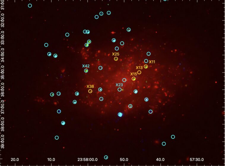 Quatre nouveaux restes de supernova à rayons X détectés dans le Galaxy NGC 7793