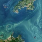 Quelles îles peuvent nous apprendre sur la protection planétaire