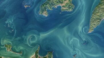 Quelles îles peuvent nous apprendre sur la protection planétaire