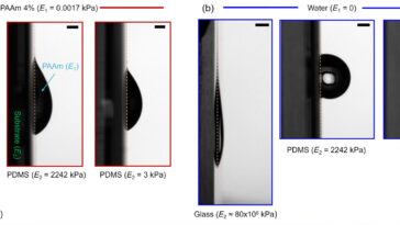 Redéfinir la physique pour faire rouler une balle verticalement