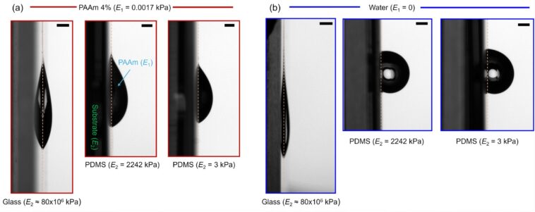 Redéfinir la physique pour faire rouler une balle verticalement