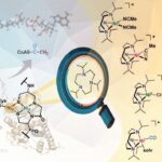 Résoudre le mystère d'une ancienne enzyme pourrait conduire à de nouvelles stratégies de capture de carbone