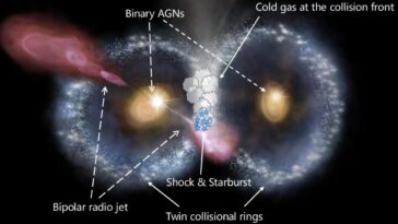 The Cosmic Owl: Les astronomes découvrent une fusion de galaxie particulière