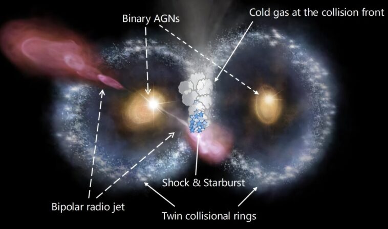The Cosmic Owl: Les astronomes découvrent une fusion de galaxie particulière
