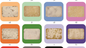 Tool de la nature: les scientifiques élevent des champignons pour construire des substituts naturels polyvalents aux matériaux couramment utilisés