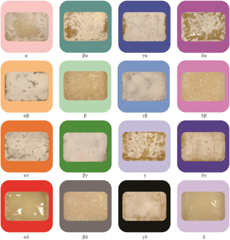 Tool de la nature: les scientifiques élevent des champignons pour construire des substituts naturels polyvalents aux matériaux couramment utilisés Tool de la nature: les scientifiques élevent des champignons pour construire des substituts naturels polyvalents aux matériaux couramment utilisés