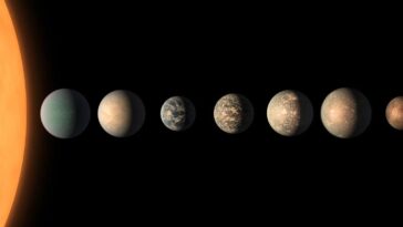 Trouver une meilleure façon de distinguer la vie de la non-vie