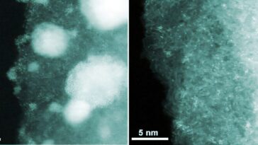 Un nouveau catalyseur coupe les dépenses précieuses du palladium 100 fois en utilisant des déchets recyclés