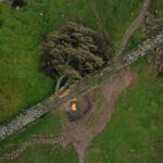 Mandatory Credit: Photo by ADAM VAUGHAN/EPA-EFE/Shutterstock (14138456b) An aerial photograph taken by drone shows the recently felled tree at Sycamore Gap in Northumberland, Britain, 05 October 2023. The famous tree at Sycamore Gap was cut down on the night of 27 September 2023, leading to the arrests of a 16-year-old boy and a 60-year-old man on suspicion of causing criminal damage. The tree appeared in Kevin Costner