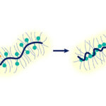 Un petit espace de réaction a un grand impact sur la chimie des polymères