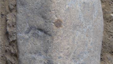 Image du rock avec empreinte digitale de NEANDERTAL