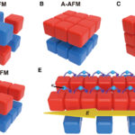 Une nouvelle classe d'antitiferromagnets «de type X» permet un transport de spin sélectif en sous-réduction