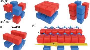 Une nouvelle classe d'antitiferromagnets «de type X» permet un transport de spin sélectif en sous-réduction