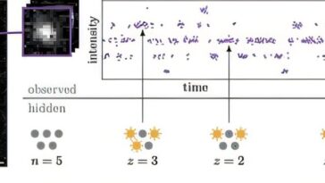 Une nouvelle méthode permet aux scientifiques de dépasser la limite de résolution de la microscopie à fluorescence