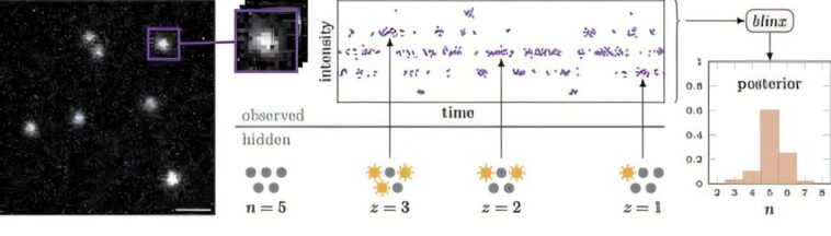 Une nouvelle méthode permet aux scientifiques de dépasser la limite de résolution de la microscopie à fluorescence Une nouvelle méthode permet aux scientifiques de dépasser la limite de résolution de la microscopie à fluorescence