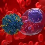 Illustration of T cell therapy targeting multiple myeloma