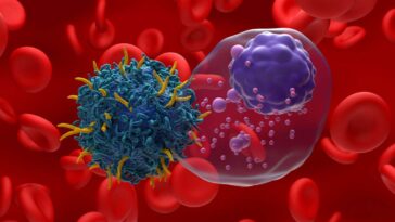 Illustration of T cell therapy targeting multiple myeloma