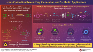 Une voie en une étape vers des molécules complexes utilisant des ortho-quinodiméthanes résout un défi de longue date dans la synthèse polycyclique
