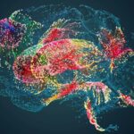 Vos souvenirs oubliés continuent d'influencer les choix que vous faites