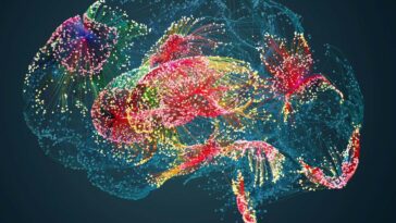 Vos souvenirs oubliés continuent d'influencer les choix que vous faites