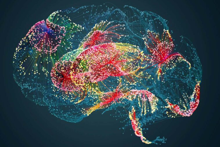 Vos souvenirs oubliés continuent d'influencer les choix que vous faites