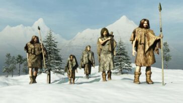 Voyage extraordinaire des humains anciens vers l'Amérique du Sud